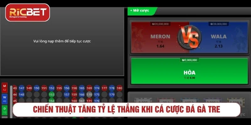 Quản lý vốn khi tham gia đá gà tre trực tuyến