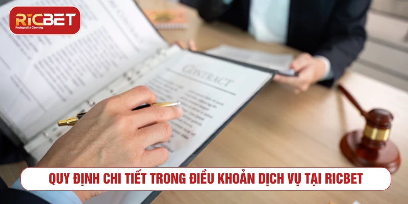Quy định về tài khoản và giao dịch trong điều khoản dịch vụ RICBET