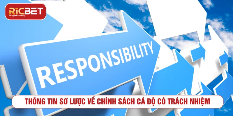 Thông tin về nguyên tắc chơi có trách nhiệm tại RICBET