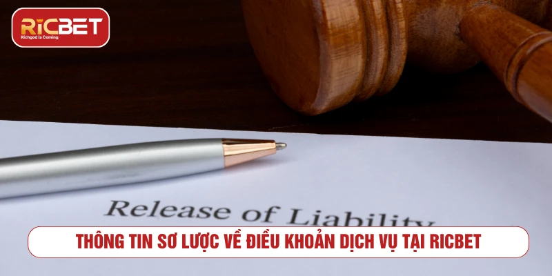 Tổng quan về điều khoản dịch vụ RICBET