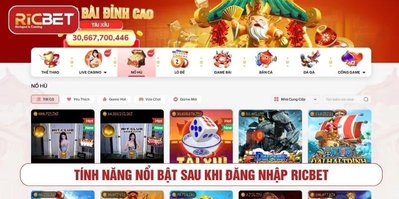 Các tính năng sau khi đăng nhập RICBET