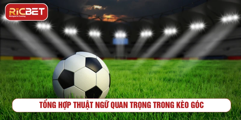 Các thuật ngữ phổ biến khi đọc kèo góc bóng đá