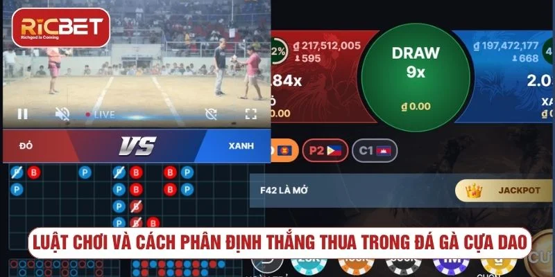 Luật chơi và cách phân định kết quả đá gà cựa dao